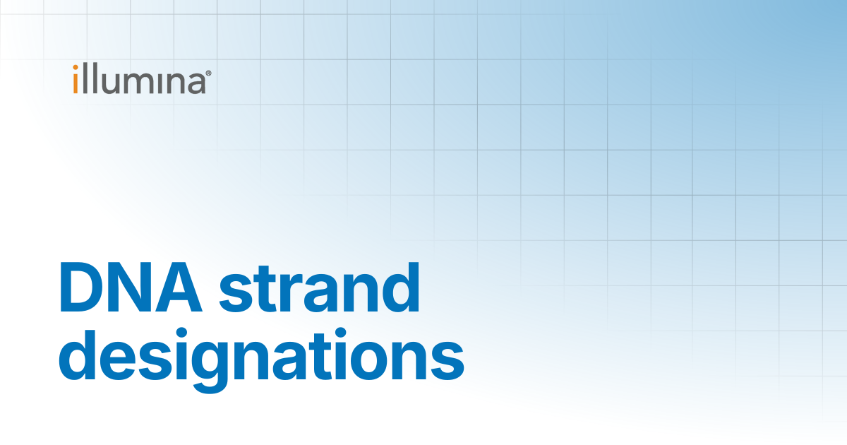 DNA strand designations | Illumina Knowledge
